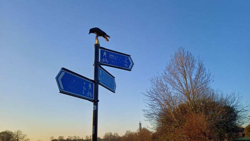 Sign post at the edge of a path showing different directions